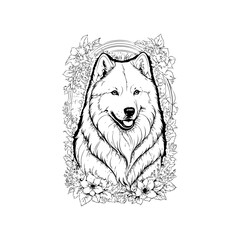 A detailed Samoyed line art vector illustration.