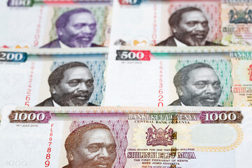 Kenyan shilling a business background