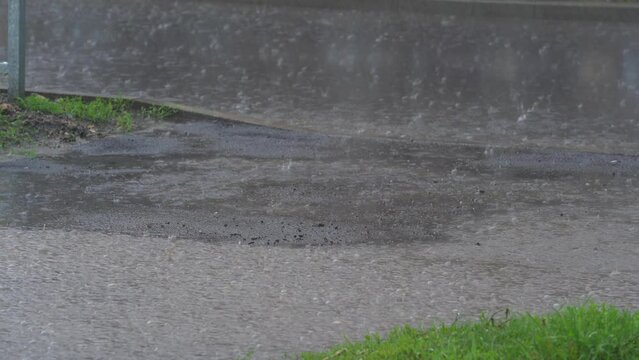 rain days, heavy rain falling on asphalt surface