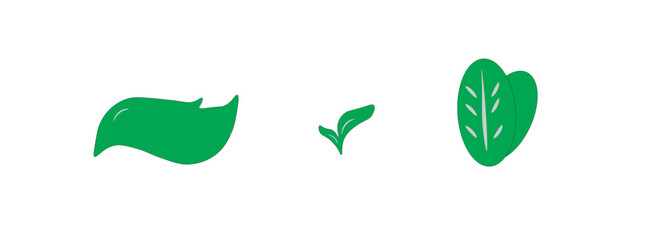 Obraz premium eco set of leaves together on a white background