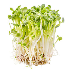 Cabbage Sprouts, transparent background, isolated image, generative AI