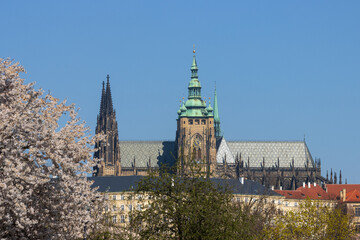 Veitsdom im Frühling, Prag, Tschechei