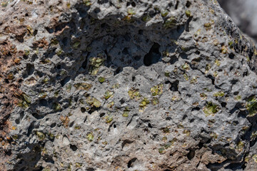 Obraz premium Picrite basalt or picrobasalt is a variety of high-magnesium olivine basalt that is very rich in the mineral olivine. Oceanite. Makapuu lookout Oahu Hawaii Geology