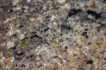 Picrite basalt or picrobasalt is a variety of high-magnesium olivine basalt that is very rich in the mineral olivine. Oceanite. Makapuu lookout Oahu Hawaii Geology