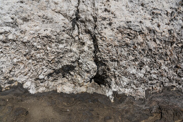 white fossil coral reef. Lanai Lookout Honolulu  Oahu Hawaii Geology