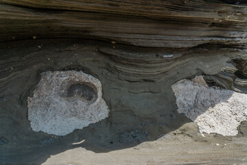 Tuff / volcaniclastic deposits with white fossil coral reef. Lanai Lookout Honolulu  Oahu Hawaii...