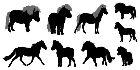 Collection of ponies silhouettes, horse breeding . Vector illustration.	
 - obrazy, fototapety, plakaty