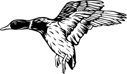 
Duck Svg files for Cricut,Duck Svg,Duck Clipart,Duck Farm Animal svg,Duck Download,Duck Shirt,Duck Funny Svg,Duck Head svg,Duck Cricut
