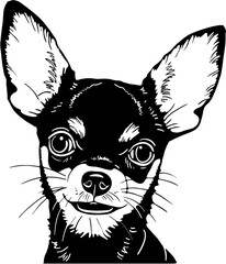 
Chihuahua Vector,Chihuahua svg,Dog face vector,Chihuahua Clipart,Chihuahua Download,Dog svg files for cricut,Chihuahua cut file,Chihuahua
