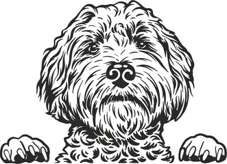 
Labradoodle svg,dog svg cricut, cute Face Labradoodle svg,printable graphics cut file doodle breed,Labradoodle dxf,Labradoodle cut files
