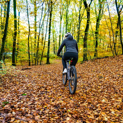 Woman riding bicycle in city forest in autumn scenery
- 765606915