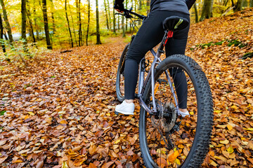 Woman riding bicycle in city forest in autumn scenery
- 765606953