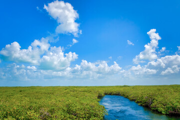 Tropical landscape in the coastline of Cayo Santamaria, Villa Clara, Cuba