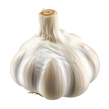 Garlic, transparent background, isolated image, generative AI
