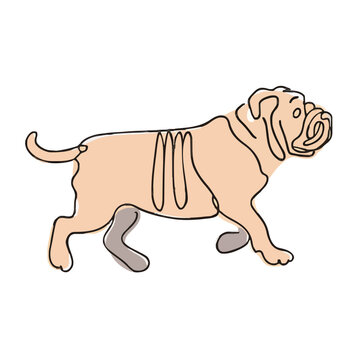 drawing illustration of a dog