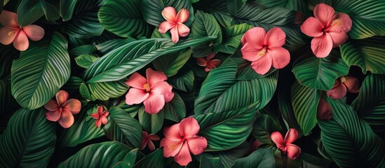 Fototapeta premium A cluster of pink flowers is surrounded by lush green leaves in a vibrant garden setting.