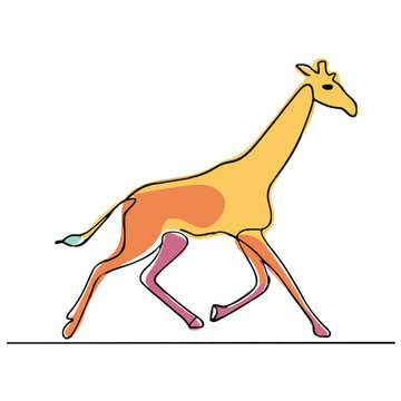 drawing illustration of giraffe 