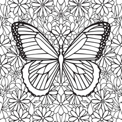 Butterflies coloring page. Butterflies outline vector images. Cute design butterfly outline vector