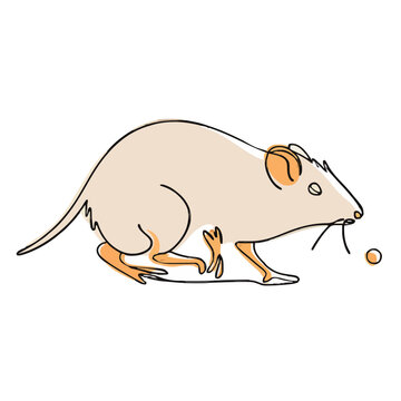 drawing illustration of a mouse