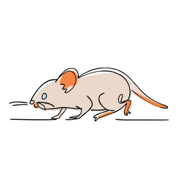 drawing illustration of a mouse