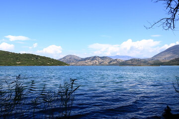 Shore of Lake Butrint lagoon in Butrint National Park, Albania