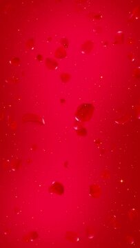 vertical rose petals falling on red gradient background 4k animation, golden shiny glowing stars and flying roses, valentine love and wedding anniversary romantic social media motion design element