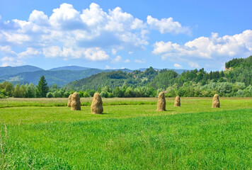 Field with haystacks in the sunny day. Photo of rural landscape in the background of mountains, Barcice, Poland