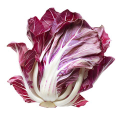 Obraz premium Radicchio, transparent background, isolated image, generative AI