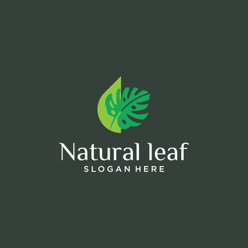 Vector eco friendly concept leaf logo design natural leaf logo for agricultural products beauty