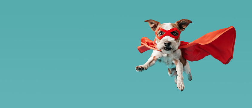 The Flying Fido: Canine Superhero Against a Light Blue Sky