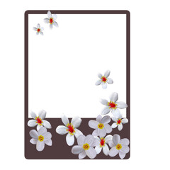 frame with tung blossom 