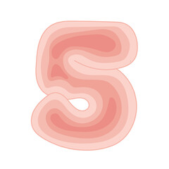 number 5