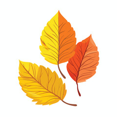 Naklejka na ściany i meble Fresh autumn leaves in yellow and orange color icon