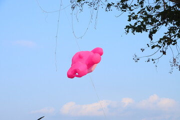 Pink balloon bear kite flying in the blue sky at Can Tho city, Vietnam.