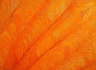Hand drawn oil painting orange background