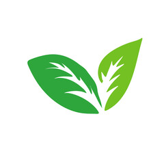 Green tea leaf icon