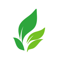 Green tea leaf icon