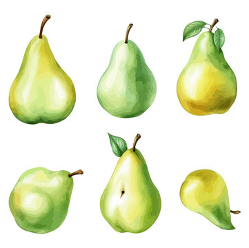 Watercolor Vector painting of a Collection pear Fruit, isolated on white background, Drawing clipart, Illustration, Graphic.
