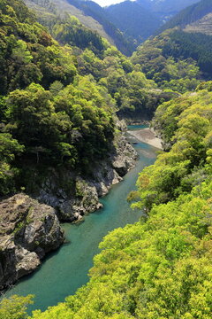 一ツ瀬川、エメラルドグリーンの川色がとってもキレイに山の緑ときれいなコントラスト、宮崎県の山奥から西米良を通り、大きなダム湖と小さなダム湖を経て、杉安峡から平野へ