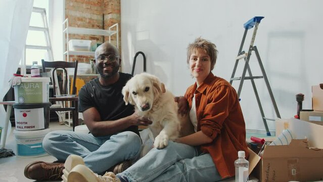Happy diverse couple smiling and posing on camera with cute golden retriever dog in living room with paint buckets and boxes during home renovation. Video portrait, zoom shot