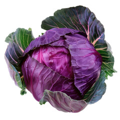 Obraz premium fresh purple cabbage isolated on transparent background