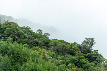 Misty cloud forest in the foothills of the Chiriqui highlands in Baru volcano, Panama, Central America - stock photo