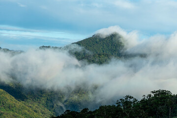 Fototapeta na wymiar Misty cloud forest in the foothills of the Chiriqui highlands in Baru volcano, Panama, Central America - stock photo