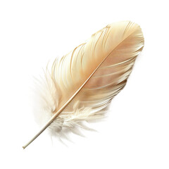 Fototapeta premium feather isolated on white