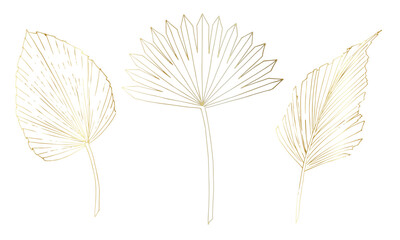 Gold tropical Palm Leaves. Vector illustration with exotic plants on isolated background in linear style. Outline drawing of branches. Line art for modern luxury design. Botanical sketch of foliage.
