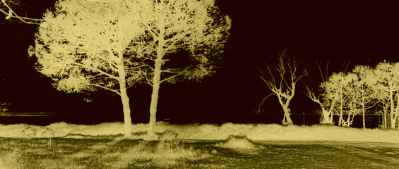 sunset at Pialassa Baiona near Marina Romean (Italy)