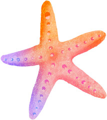 Watercolor Starfish