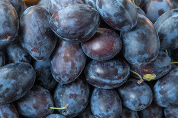 Plum variety Hungarian. Fruit harvest on the table in the kitchen. Autumn blue plum. Vitamin food bowl.