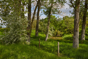 Obraz premium Naturschutzgebiet Pöppelsche Talsystem, Erwitte, Kreis Soest, NRW, Deutschland, 2023