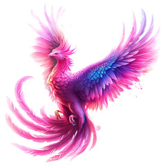 Obraz premium pink and white feather